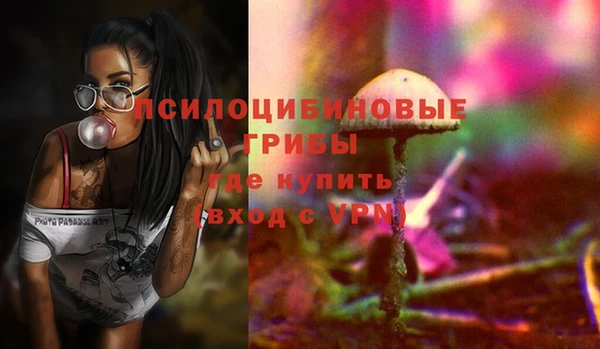 трава Тайга